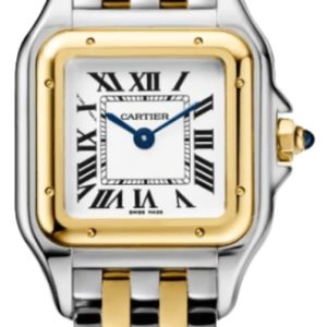 Cartier Panthere de Cartier Small Quartz Silver Dial 18K Yellow Gold Bezel Steel Women’s Watch W2PN0013 30mm