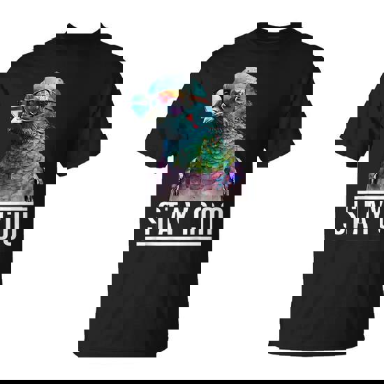 Stay Coo Pigeon Lover Animal Lover Birds Owner T-Shirt